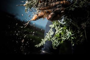 Trots op Zilte Roots | Schafttijd in de keet