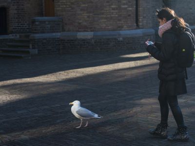 Fotografie: Nieuwe Meesters | Sluis