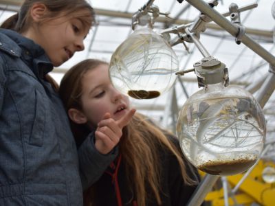 Kijk je ogen uit! | Museum excursie | Verbeke Foundation