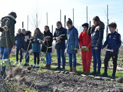 Op bezoek bij de kunstenaar... | GROEP 1: 13-15 uur | Maartje Korstanje | Groede