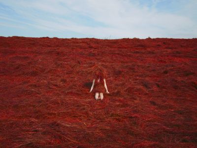 Fotografie | Buiten de lijntjes kleuren