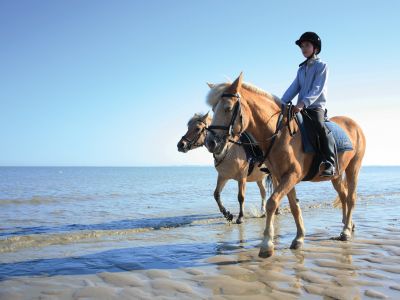 Paardrijden | NIEUWVLIET