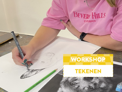 Masterclass Illustreren | Ferdy Remijn