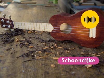 Bouw jouw ukelele...