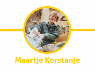 Dromen van karton