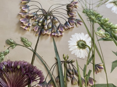 Botanical