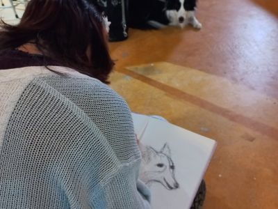 Kunstklas 16+ | 2026/2027